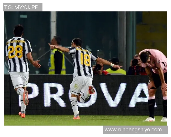 配雷拉与方便的较量：谁能在现代生活中更胜一筹